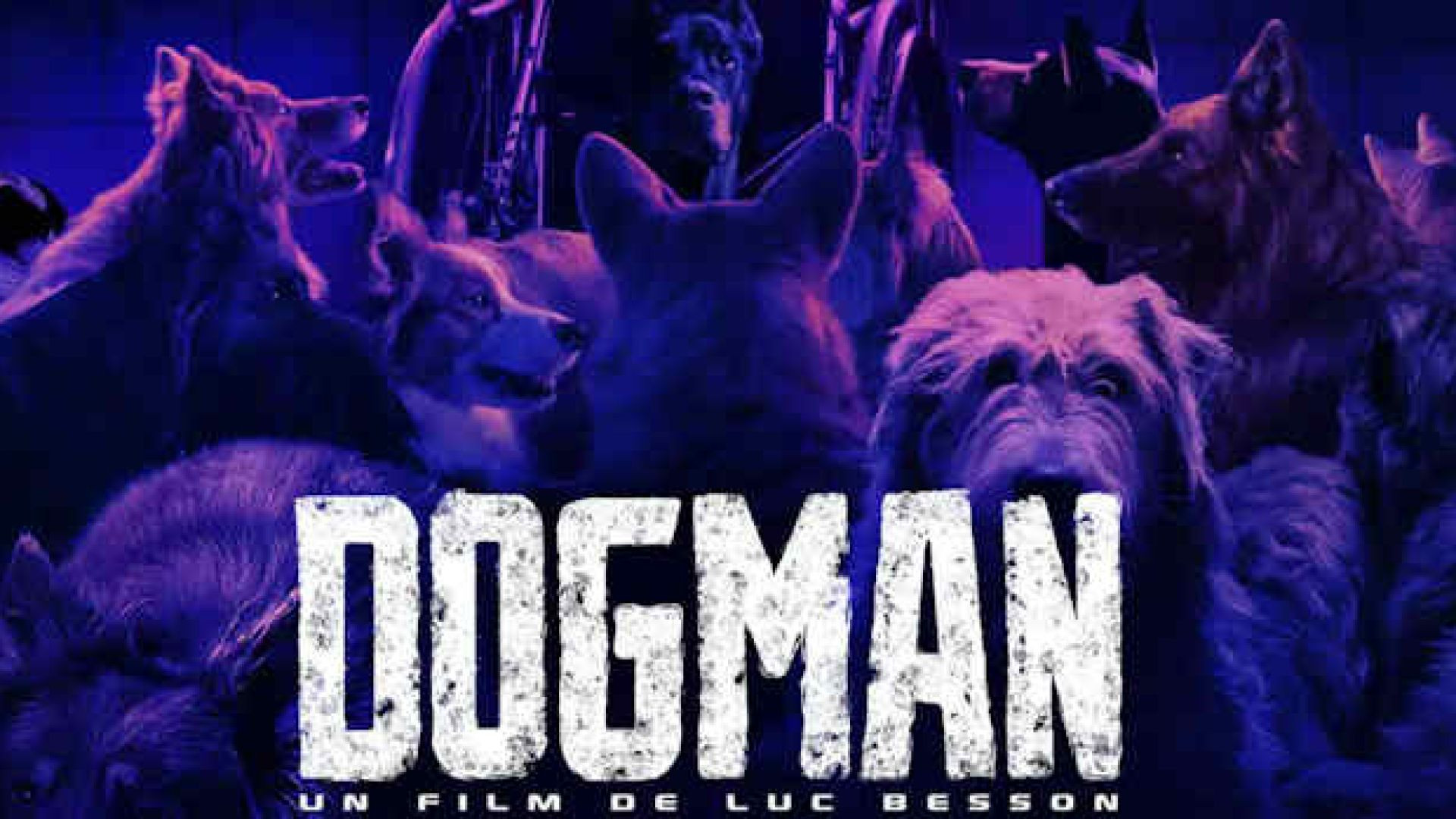 DogMan