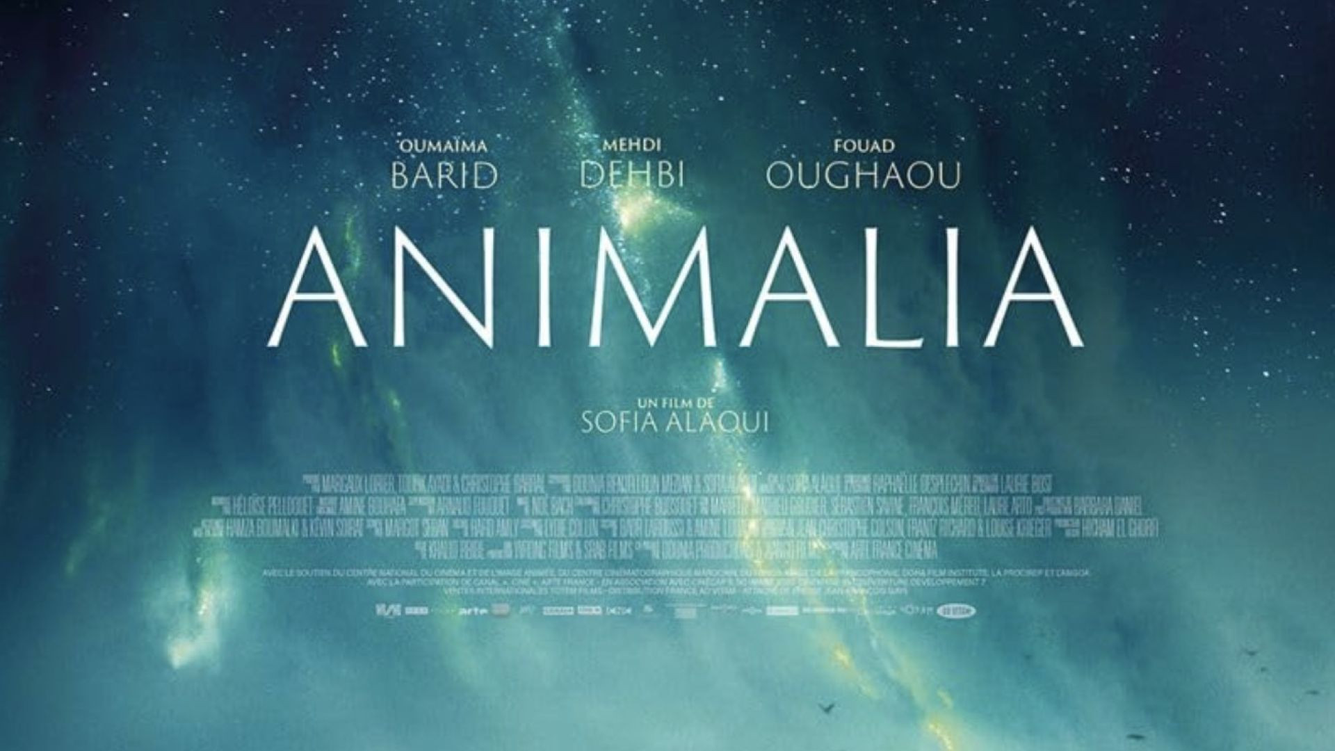 Animalia